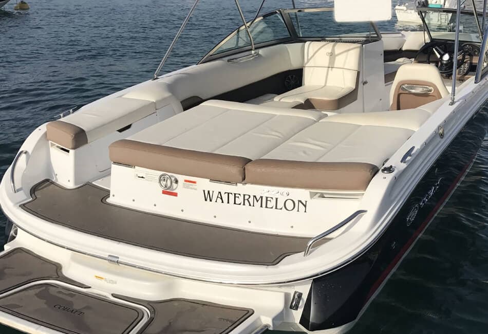 22.8 ft Cobalt 220W photo highlight 3