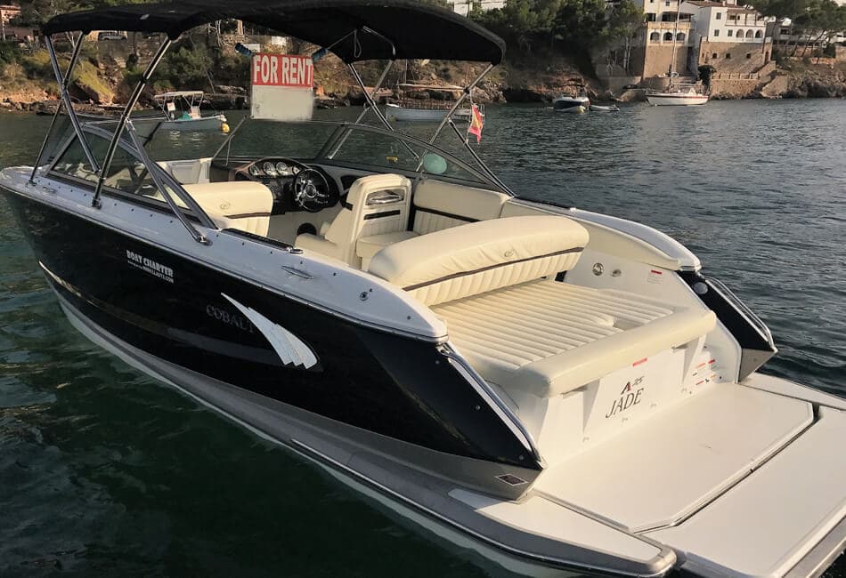 25 ft Cobalt A25J photo highlight 3