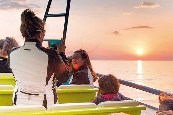 Experience a Sunrise with Dolphins in Mallorca