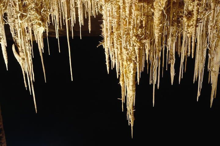 Explore Mallorca: Majorica Pearl Shop and Caves of Drach photo highlight 7