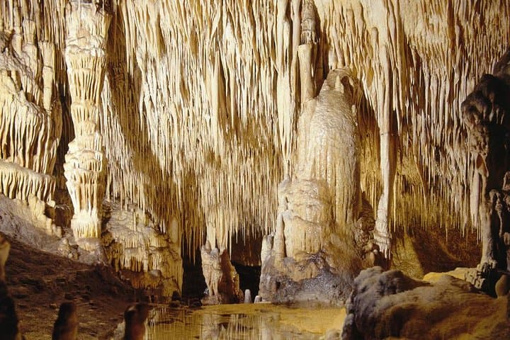 Explore Mallorca: Majorica Pearl Shop and Caves of Drach photo highlight 8