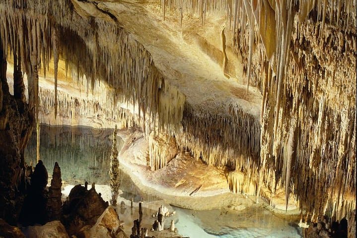 Explore Mallorca: Majorica Pearl Shop and Caves of Drach photo highlight 11
