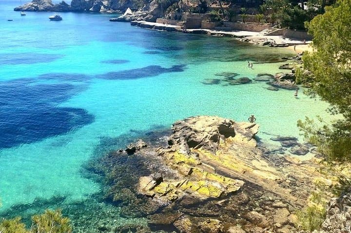 Mallorca Paradise Boat Trip and Puerto de Andratx photo highlight 9