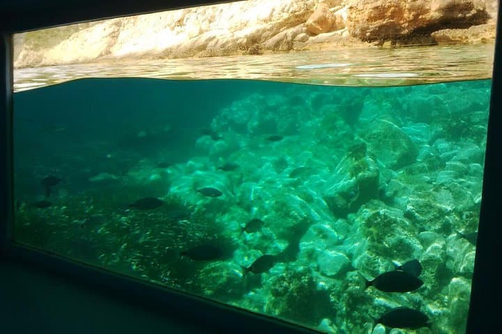 Mallorca Paradise Boat Trip and Puerto de Andratx photo highlight 5