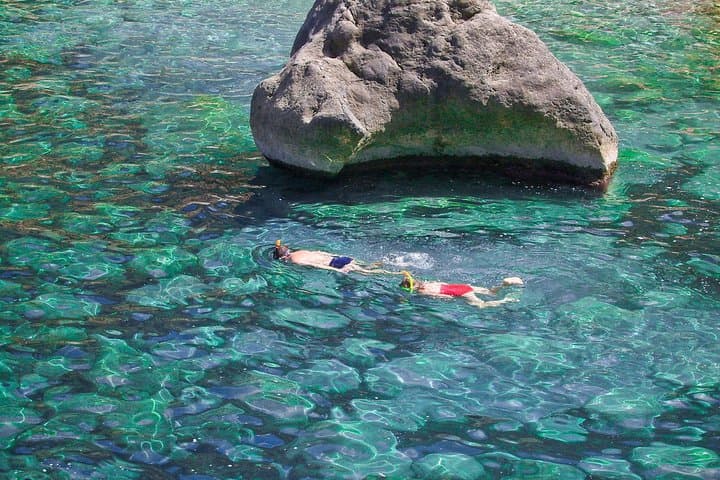 Mallorca Paradise Boat Trip and Puerto de Andratx photo highlight 10