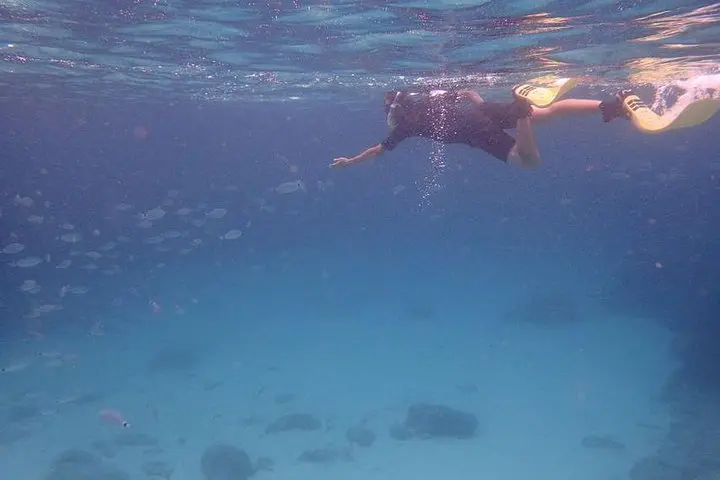 Mallorca: Snorkeling in a Beautiful Nature Reserve in Mallorca