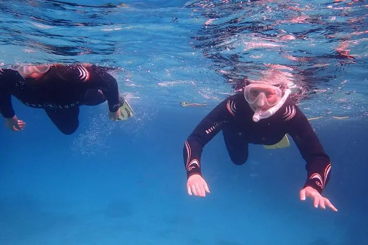 Mallorca: Snorkeling in a Beautiful Nature Reserve gallery photo 4