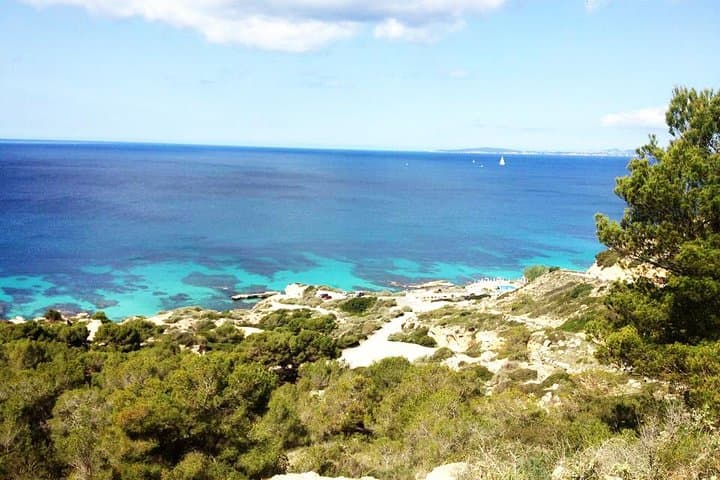 Mallorca: Snorkeling in a Beautiful Nature Reserve photo highlight 6
