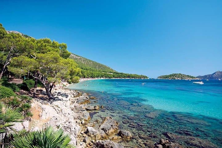 Half-Day Visit to Formentor Beach by Catamaran photo highlight 7