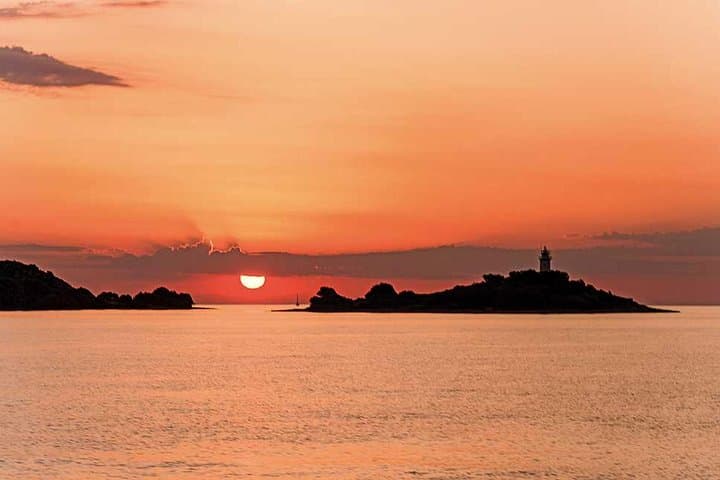 Experience a Sunrise with Dolphins gallery photo 4