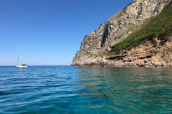 Premier Cruises 4hr Boat Trip inc Drinks, Food, SUP & Snorkels - Port d’Alcudia photo highlight 12