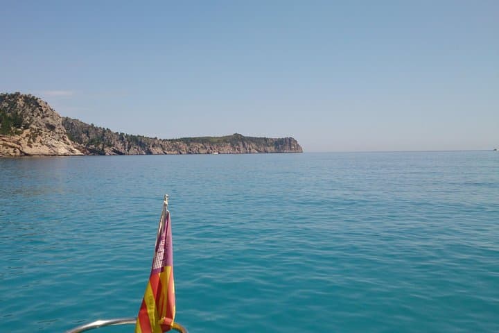 Premier Cruises 4hr Boat Trip inc Drinks, Food, SUP & Snorkels - Port d’Alcudia photo highlight 17