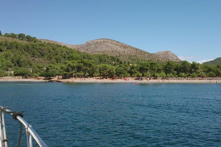Premier Cruises 4hr Boat Trip inc Drinks, Food, SUP & Snorkels - Port d’Alcudia photo highlight 21