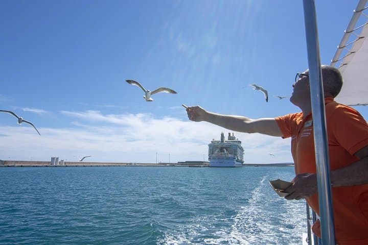 Palma de Mallorca Bay Boat Trip photo highlight 13