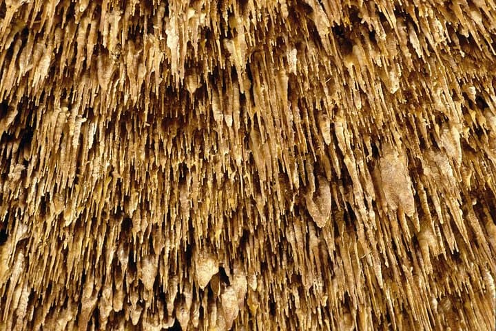 Caves of Drach Half-Day Tour with Boat Trip and Music Concert photo highlight 10