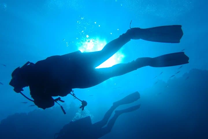 Discover Scuba Diving from the Boot - XL version gallery photo 5