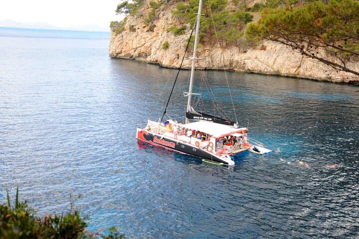 Mallorca Catamaran with Dolphin Watching and breakfast photo highlight 14