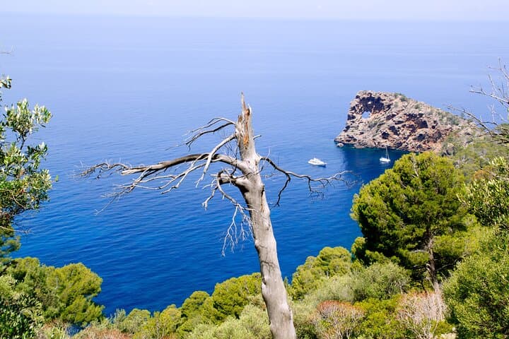 Palma de Mallorca Shore Excursion: Private Tour of Valldemossa, Soller and Serra de Tramuntana photo highlight 10