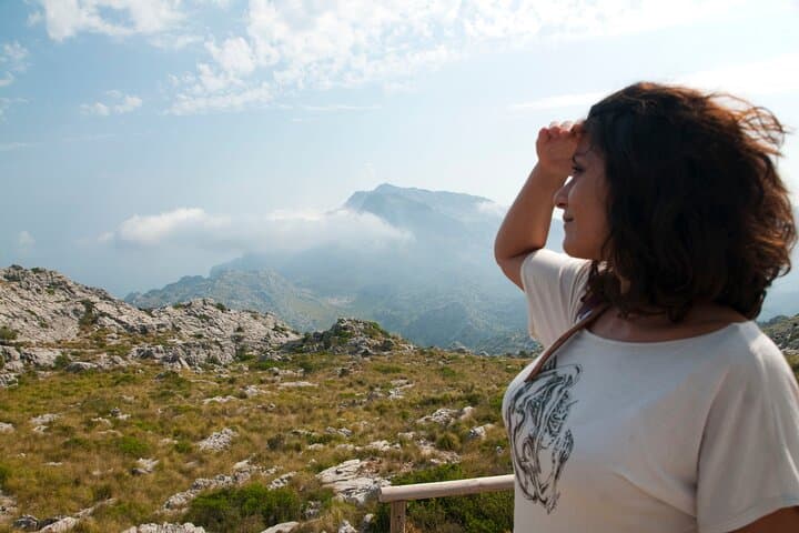Mallorca in One Day Sightseeing Tour with Boat Ride and Vintage Train in Mallorca
