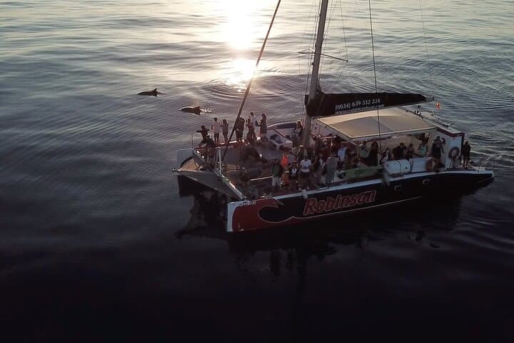 Mallorca Catamaran with Dolphin Watching and breakfast photo highlight 3