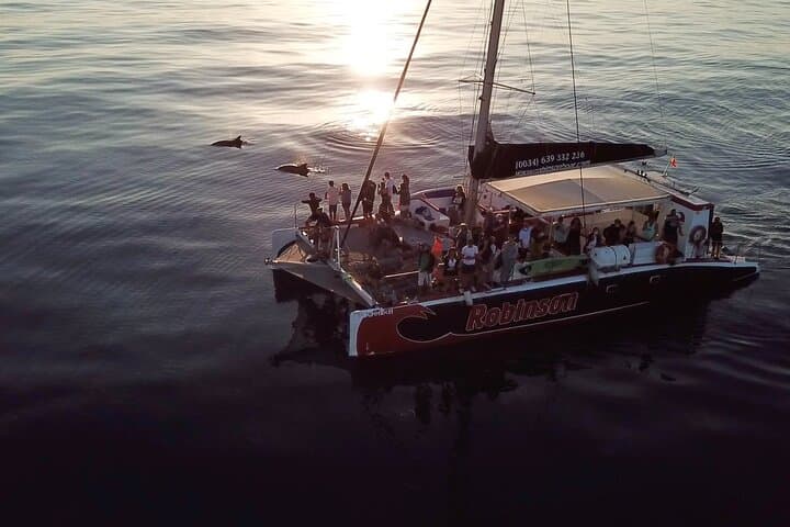 Mallorca Catamaran with Dolphin Watching and breakfast photo highlight 4
