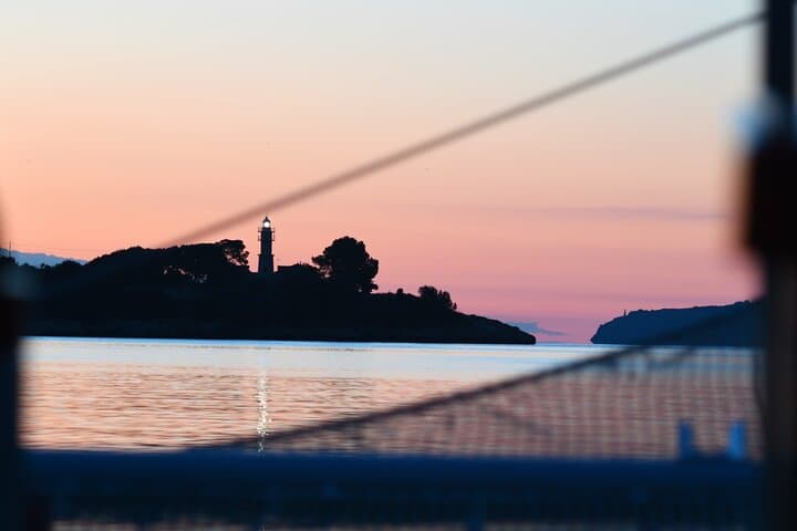 Mallorca Catamaran with Dolphin Watching and breakfast photo highlight 6
