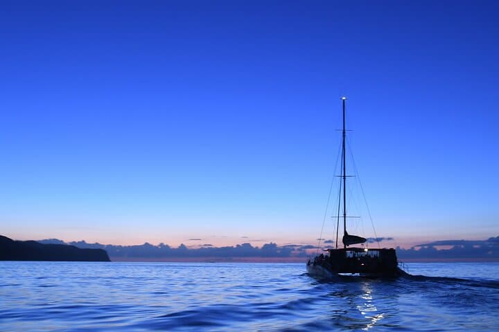 Mallorca Catamaran with Dolphin Watching and breakfast photo highlight 7