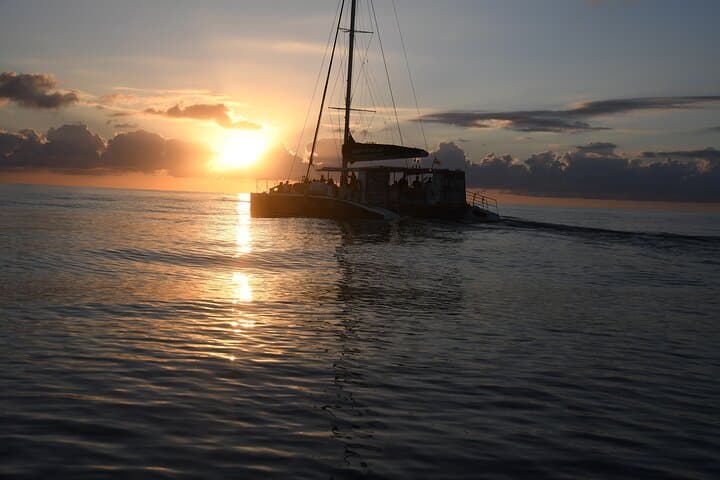 Mallorca Catamaran with Dolphin Watching and breakfast photo highlight 8