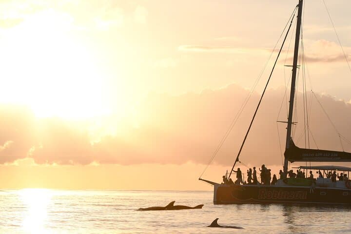 Mallorca Catamaran with Dolphin Watching and breakfast photo highlight 1