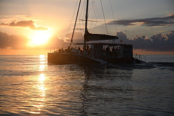 Mallorca Catamaran with Dolphin Watching and breakfast photo highlight 11