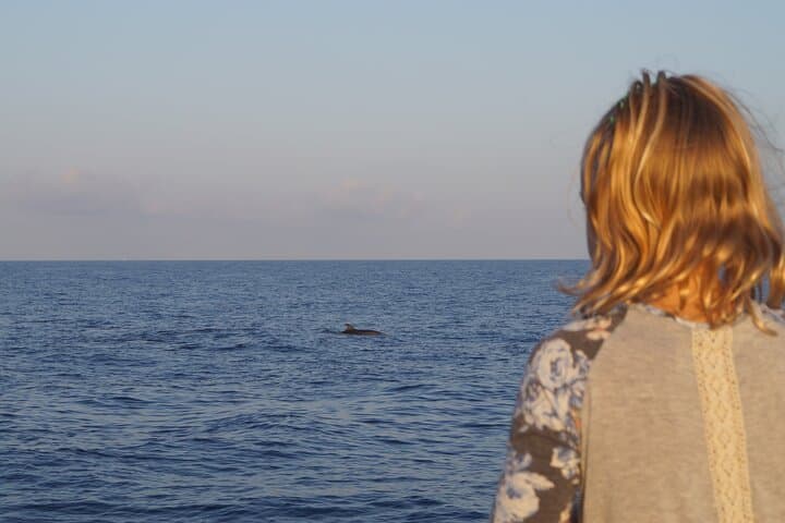 Mallorca Catamaran with Dolphin Watching and breakfast photo highlight 12