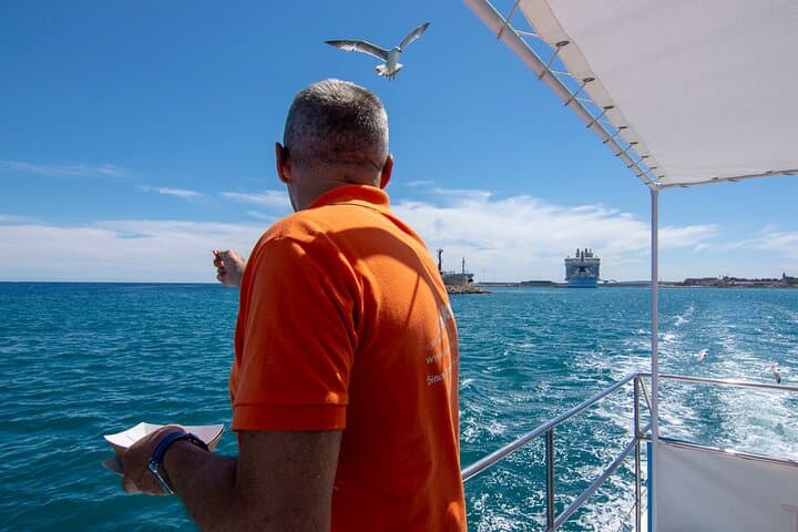 Palma de Mallorca Bay Boat Trip photo highlight 10