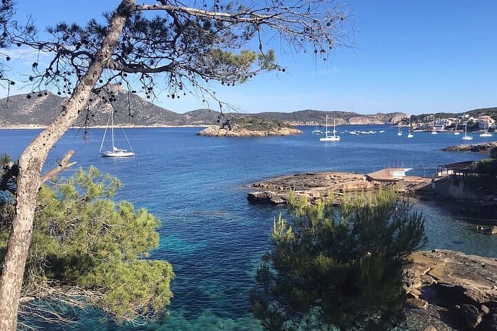 Explore the bay and the cost of Sant Elm with a kayak photo highlight 3