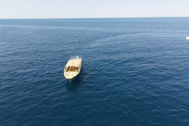 3-Hour Small-Group Dolphin Cruise in Cala Ratjada gallery photo 4