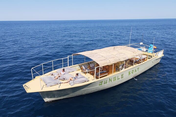3-Hour Small-Group Dolphin Cruise in Cala Ratjada gallery photo 5