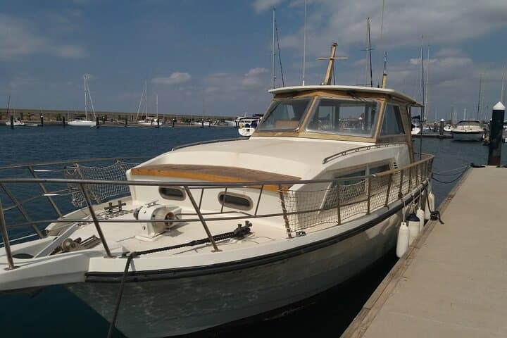 Boat trip along the paradisiacal coasts of Mallorca photo highlight 1