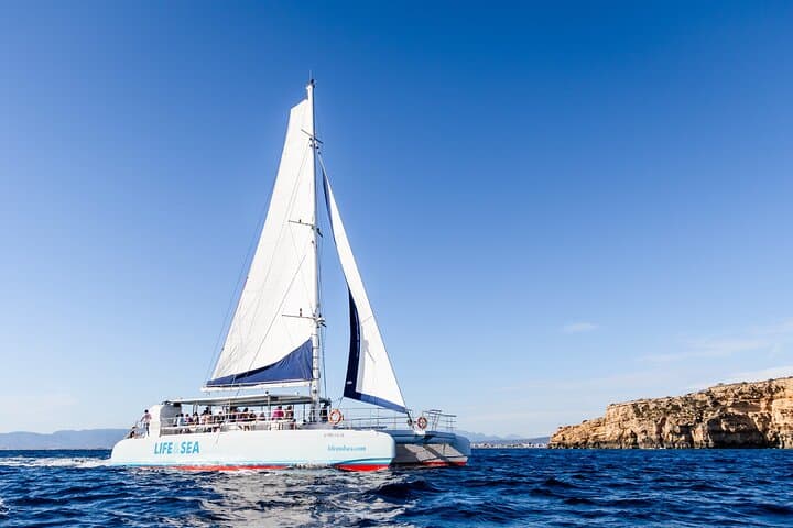 Palma Bay Catamaran Cruise gallery photo 4