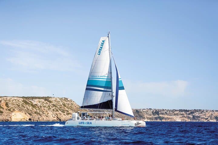 Palma Bay Catamaran Cruise gallery photo 5