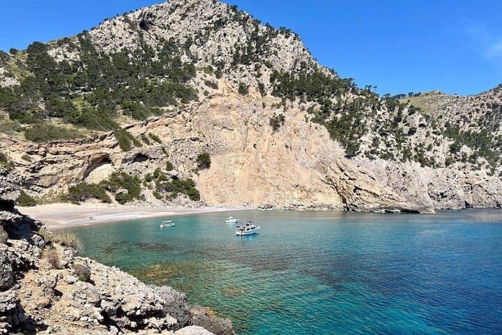 Premier Cruises 4hr Boat Trip inc Drinks, Food, SUP & Snorkels - Port d’Alcudia photo highlight 10