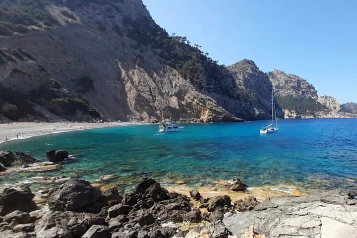 Premier Cruises 4hr Boat Trip inc Drinks, Food, SUP & Snorkels - Port d’Alcudia gallery photo 4