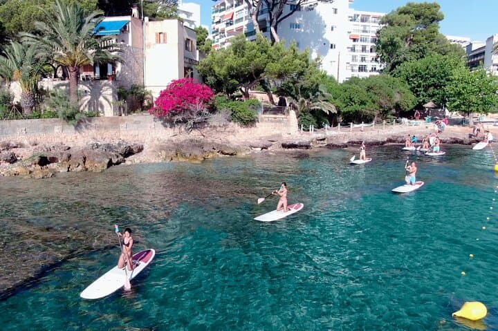 Paddle Surf board rental per hour or per day photo highlight 5