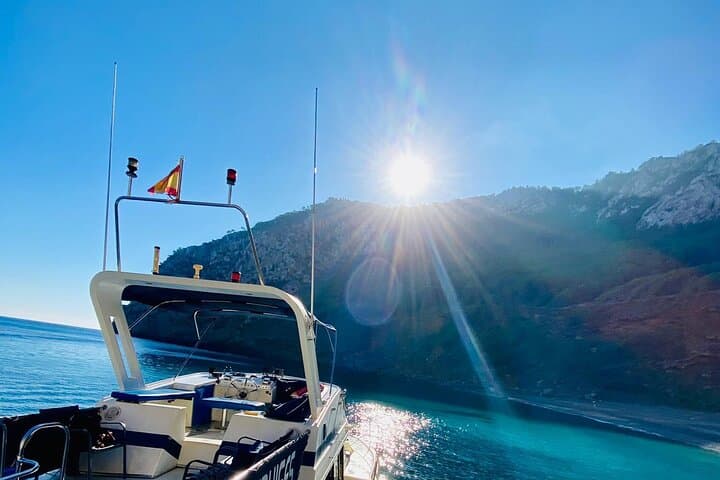 Premier Cruises 4hr Boat Trip inc Drinks, Food, SUP & Snorkels - Port d’Alcudia photo highlight 25