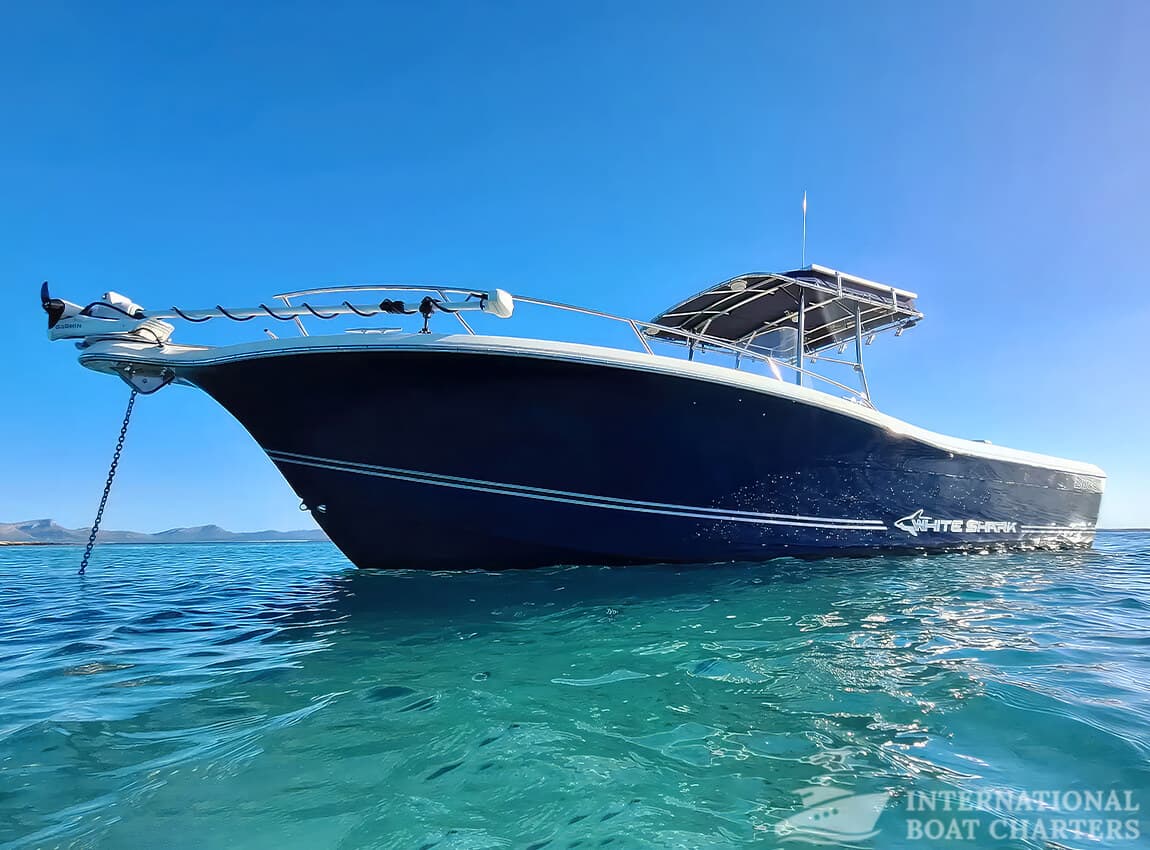 29.5-Foot/9m White Shark 285 Motorboat photo highlight 1