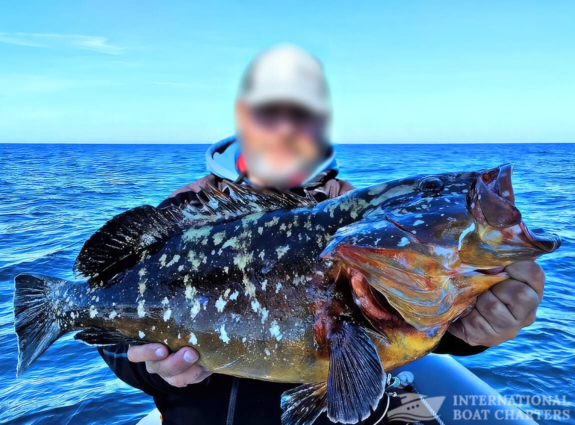 29.5-Foot/9m White Shark 285 Motorboat photo highlight 5