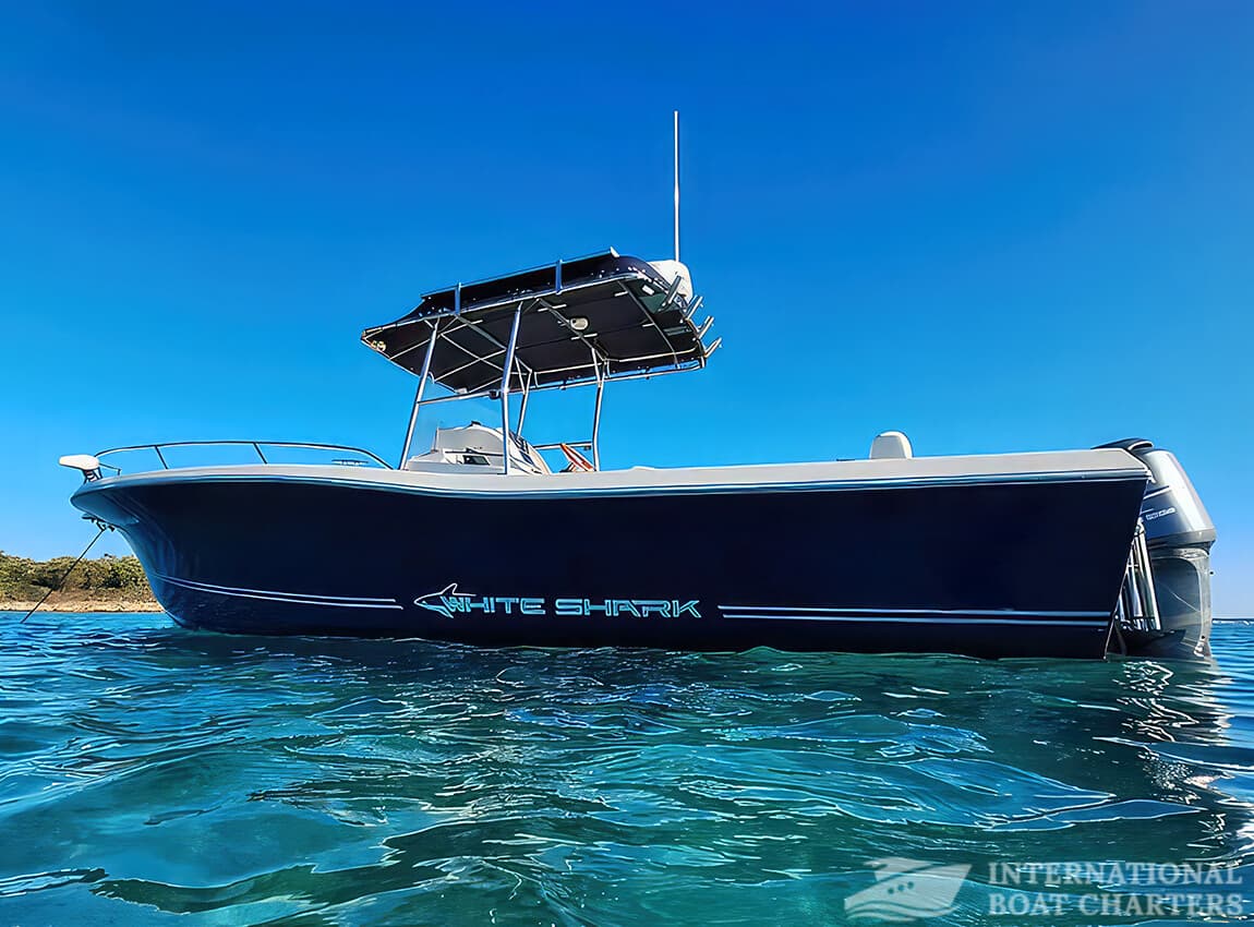 29.5-Foot/9m White Shark 285 Motorboat photo highlight 2