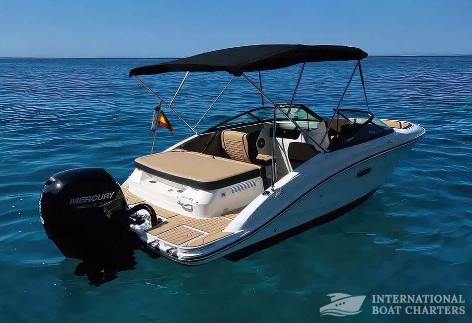 5.9m/19.4ft Sea Ray 190 Motorboat (with License) photo highlight 1