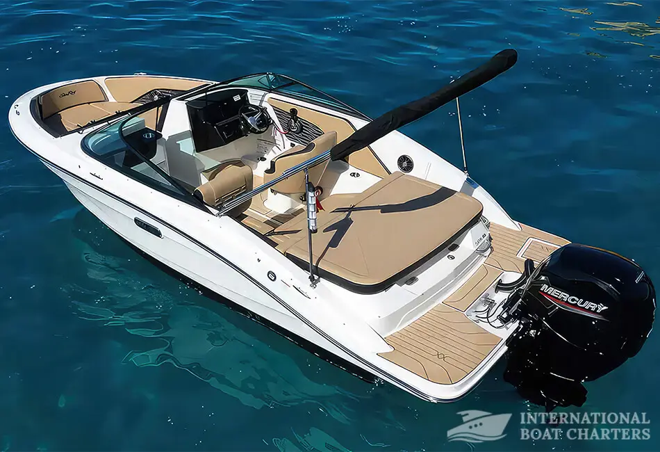 5.9m/19.4ft Sea Ray 190 Motorboat (with License) photo highlight 4
