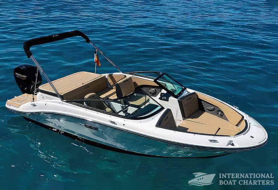 5.9m/19.4ft Sea Ray 190 Motorboat (with License) photo highlight 5