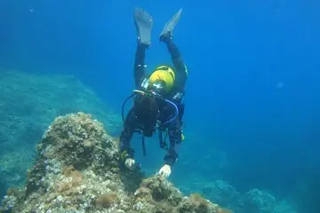 Beginners Diving in Santa Ponsa in destination
