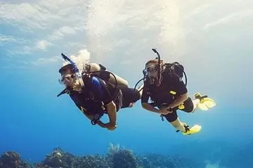 Open Water Diver course + underwater photo shooting in destination
